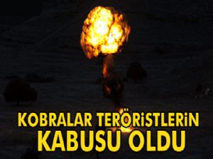 Kobralar teröristlerin kabusu oldu