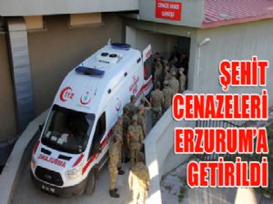 Şehit cenazeleri Erzurum'a getirildi...