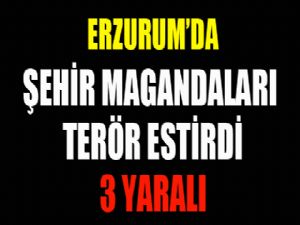 Şehir magandaları terör estirdi: 3 yaralı