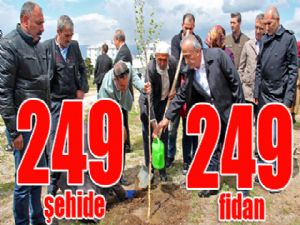 249 Şehide 249 Fidan