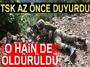Turuncu listedeki terörist öldürüldü