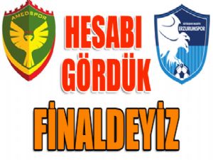 Hesabı gördük... Finaldeyiz...