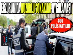 Erzurum'da 400 polisle 'Huzurlu Sokaklar' uygulaması