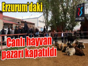 Erzurum'daki canlı hayvan pazarı kapatıldı
