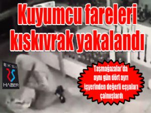 Ziynet eşya hırsızları kıskıvrak yakalandı