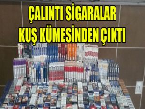 Çalıntı sigaralar kuş kümesinden çıktı...