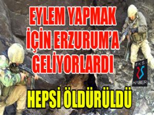 Erzurum'da eylem yapmak isteyen 4 PKK'lı öldürüldü