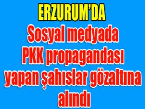 Erzurum'da Sosyal medyada PKK propagandası yapan şahıslar gözaltına alındı