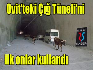 Ovit'teki Çığ Tüneli'ni ilk onlar kullandı