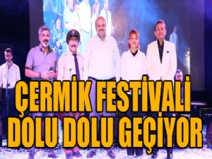 Çermik Festivali dolu dolu devam ediyor