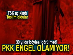 Şırnak'ta 5 terörist güvenlik güçlerine teslim oldu