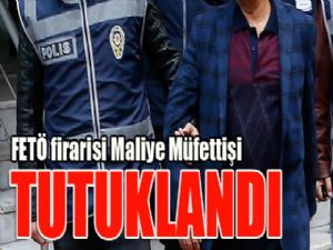 FETÖ firarisi maliye müfettişi yakalandı