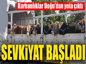 Kurbanlıklar Doğu'dan yola çıktı