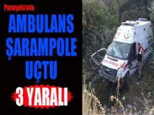 Ambulans şarampole devrildi: 3 yaralı