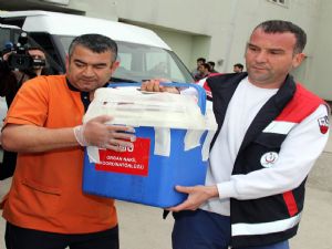 Atatürk Üniversitesi Organ Nakli Merkezi'nin büyük başarısı...