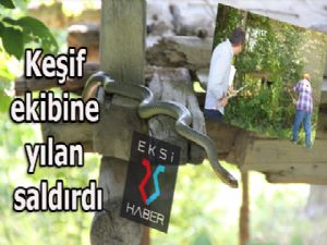 Keşif ekibine yılan saldırdı...