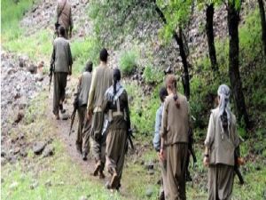 Talimatı Öcalan verdi, 134 çocuk dönüyor...