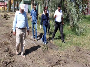 Sertoğlu: Ağaç katliamı değil, ağaç seferberliği yapıyoruz...