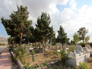 Büyükşehir mezarlık bülteni yayınladı: Cennet gibiymiş!