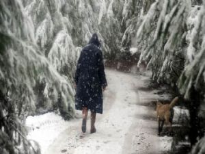 Meteorolojiden yeni bir soğuk hava uyarısı...