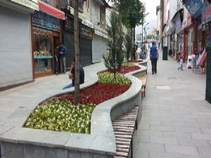 Erzurum Büyükşehir Belediyesi 4 ayda 1 milyon 250 bin çiçek dikti