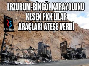 PKK'lılar Erzurum-Bingöl karayolunu kesti...