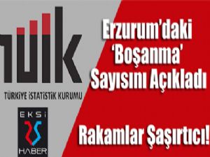 TÜİK, Erzurum'daki Boşanma Sayısını Açıkladı
