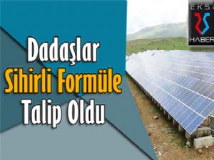 Dadaşlar 'Sihirli Formül'e Talip Oldu