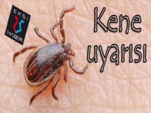 Köylerde kene uyarısı...