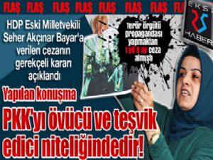 HDP'li eski vekile, PKK propagandasından ceza!