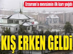 Erzurum kent merkezine mevsimin ilk karı yağdı