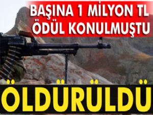 1 milyon TL para ödülü konan terörist ölü ele geçirildi