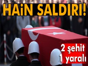 Lice'de koruculara saldırı: 2 şehit, 1 yaralı