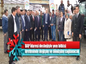 DAP İdaresi desteğiyle yem bitkisi üretiminde değişim ve dönüşüm sağlanacak