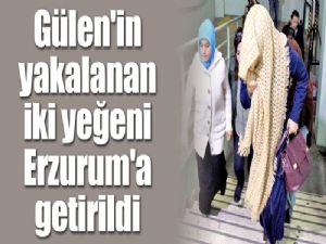 Gülen'in yakalanan iki yeğeni Erzurum'a getirildi