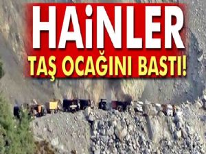 Hainler taş ocağını bastı!