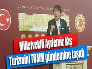  Milletvekili Aydemir, Kış Turizmini TBMM gündemine taşıdı