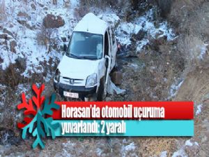 Horasan'da otomobil uçuruma yuvarlandı: 2 yaralı