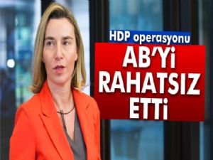 HDP'ye yapılan operasyon AB'yi rahatsız etti