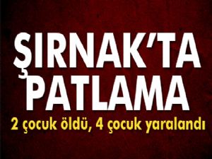 Son dakika haberi! Şırnak'ta patlama: 2 ölü, 4 yaralı