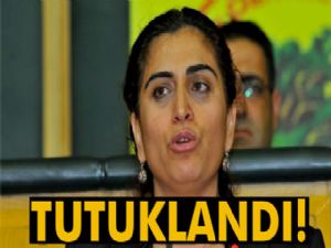 DBP Eş Genel Başkanı Sebahat Tuncel tutuklandı