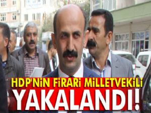 HDP'nin firari milletvekili yakalandı!
