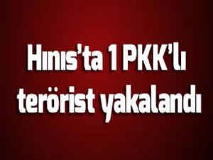 Hınıs'ta 1 PKK'lı terörist yakalandı