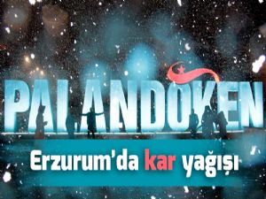 Erzurum'da kar yağışı