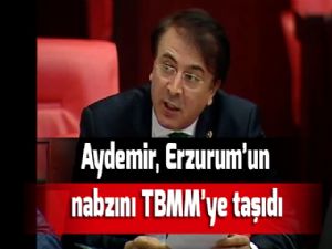 Aydemir, Erzurum'un nabzını TBMM'ye taşıdı