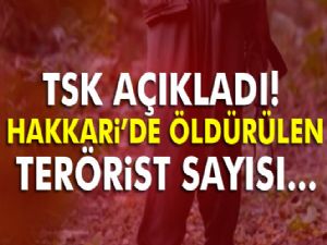 TSK açıkladı: Hakkari'de öldürülen terörist sayısı...