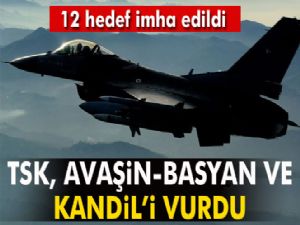 TSK, Avaşin-Basyan ve Kandil'i vurdu