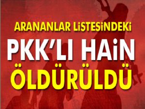 PKK'nın sözde Mardin sorumlusu öldürüldü