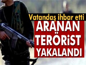 TSK açıkladı! Terörist Serhenk Aybar yakalandı