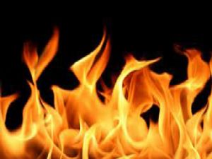 Hınıs'ta yangın: 5 kişi zehirlendi, 42 hayvan telef oldu...